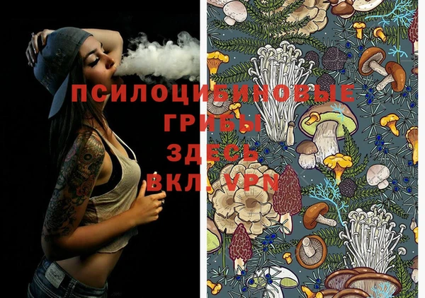 ешки Армянск