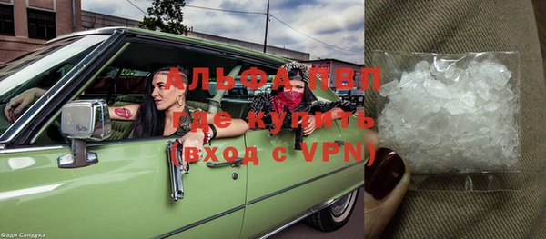 индика Новодвинск